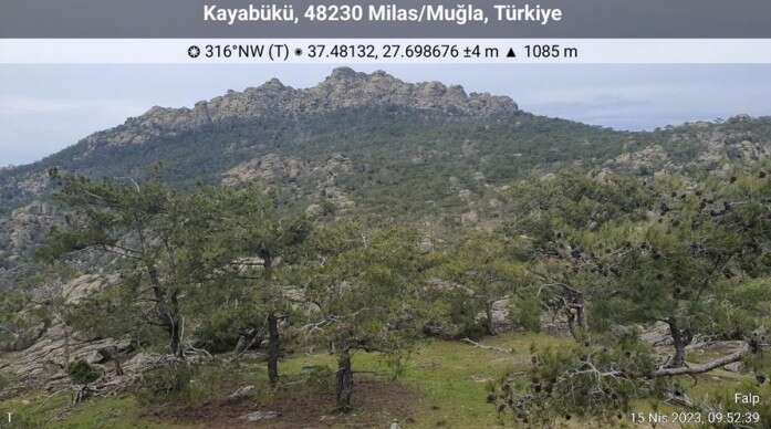 189 Milyon TL’lik Dev Yatırım: 75,6 MW Kapasiteli Falp RES Projesine ÇED Olumlu Kararı 6